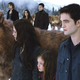 Illustration for article titled The final Twilight movie is like a porn film with action figures